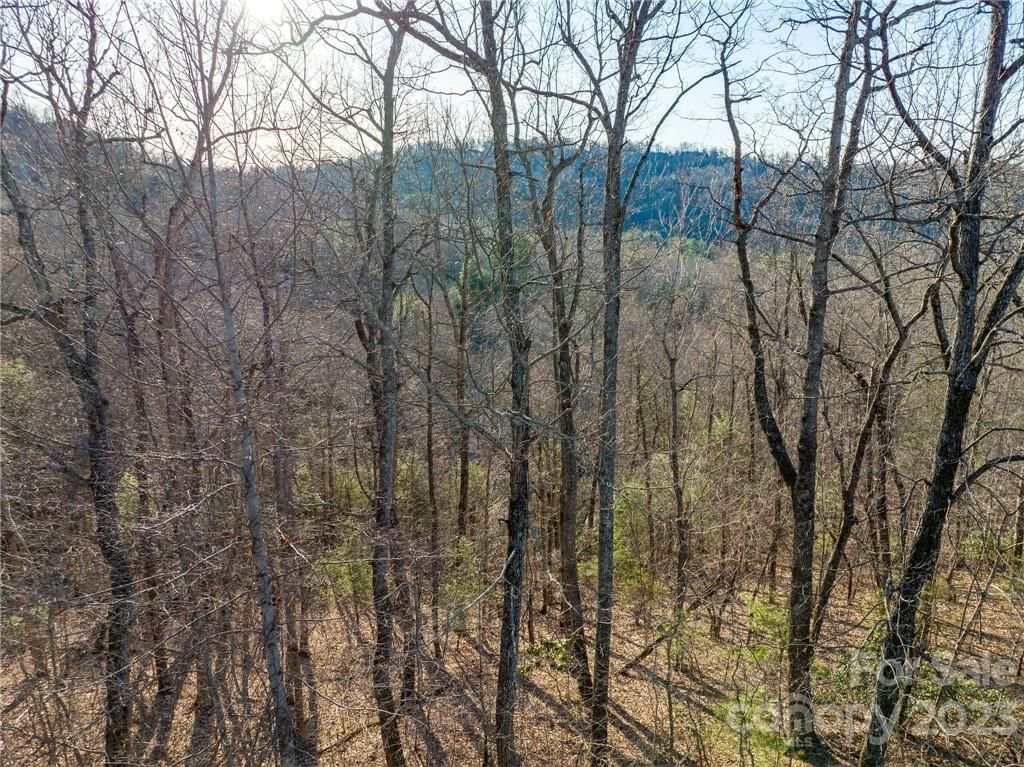 lot 395 Roaring Fork Lane image # 1