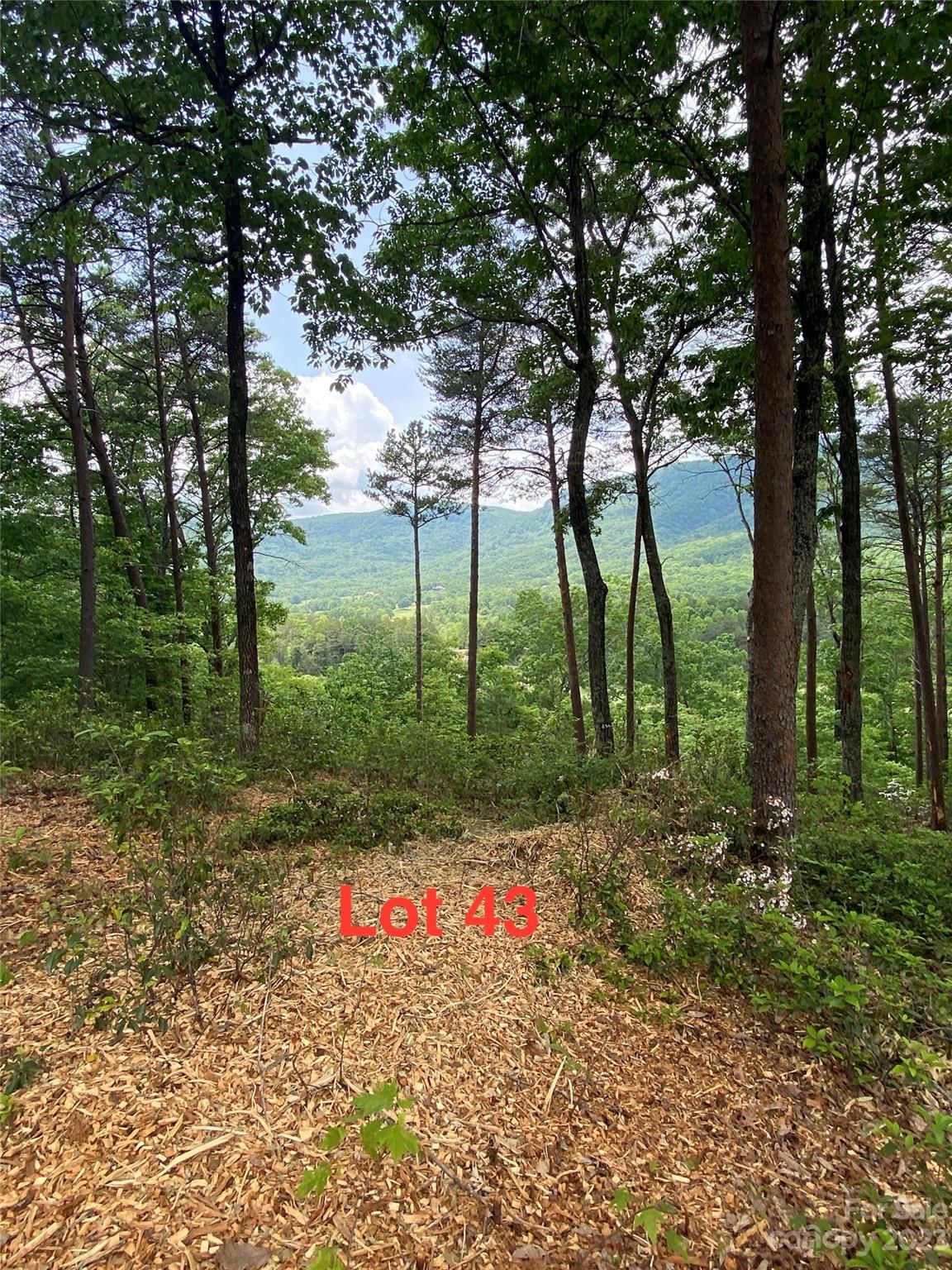 LOT 43 Deep Gap Farm Road image # 1