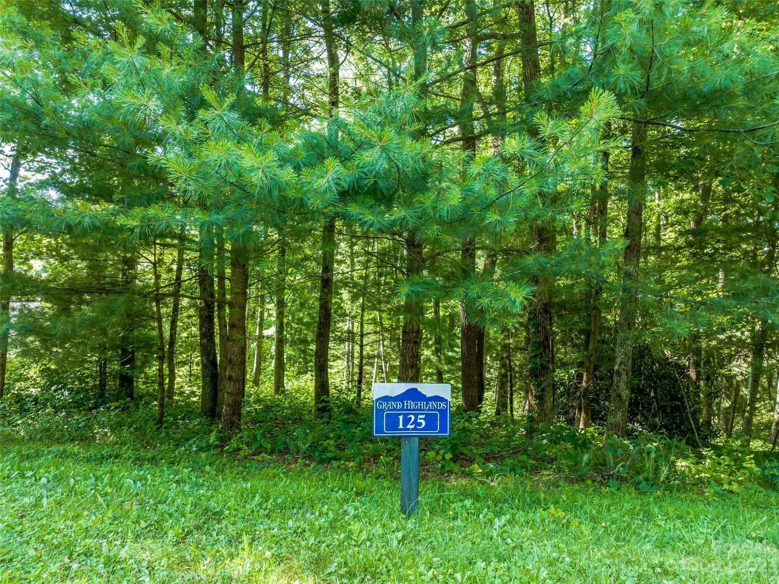 LOT 125 Thunder Mountain Road image # 1