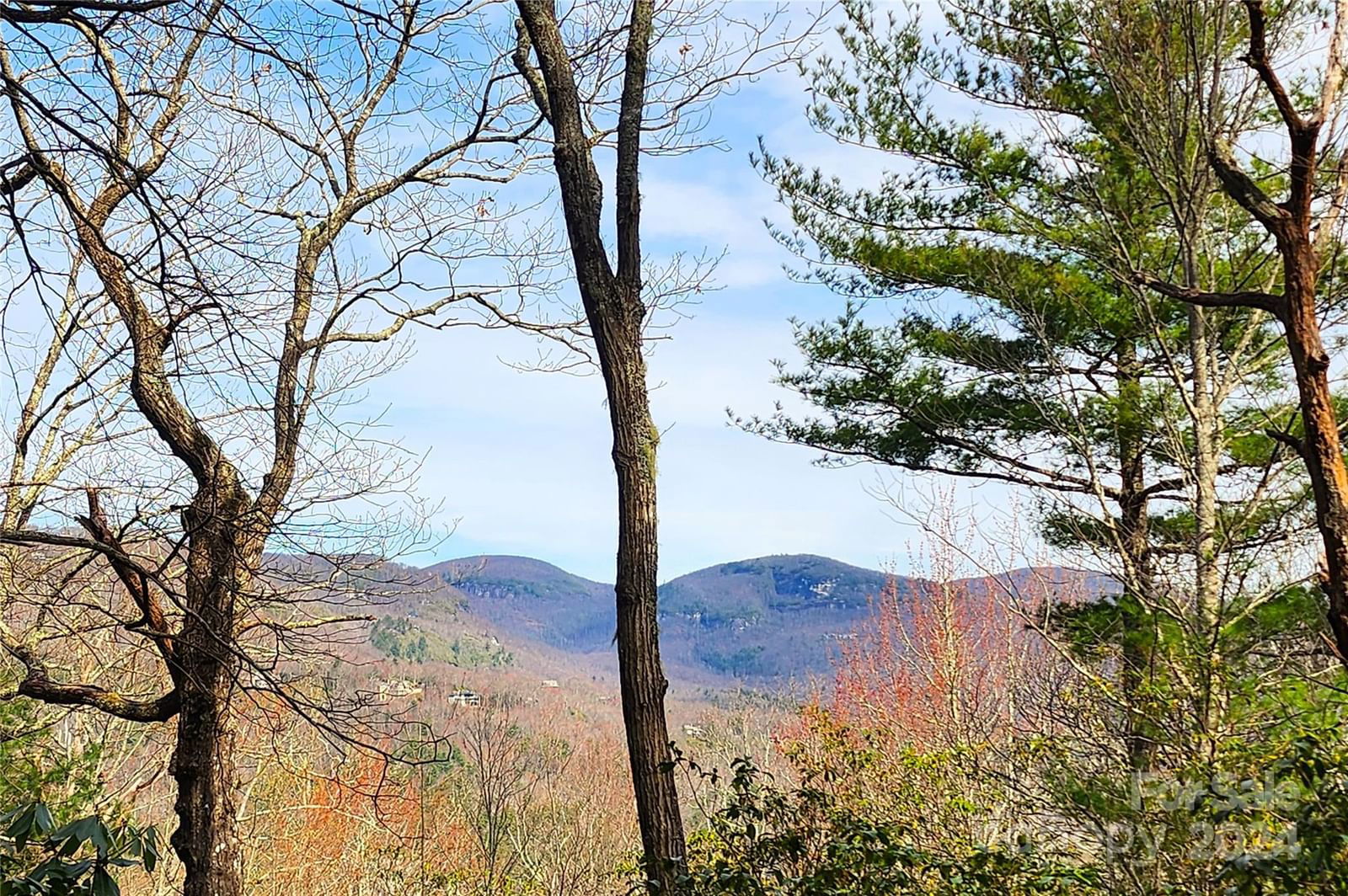 Lot 24 Lakeside Trail image # 1
