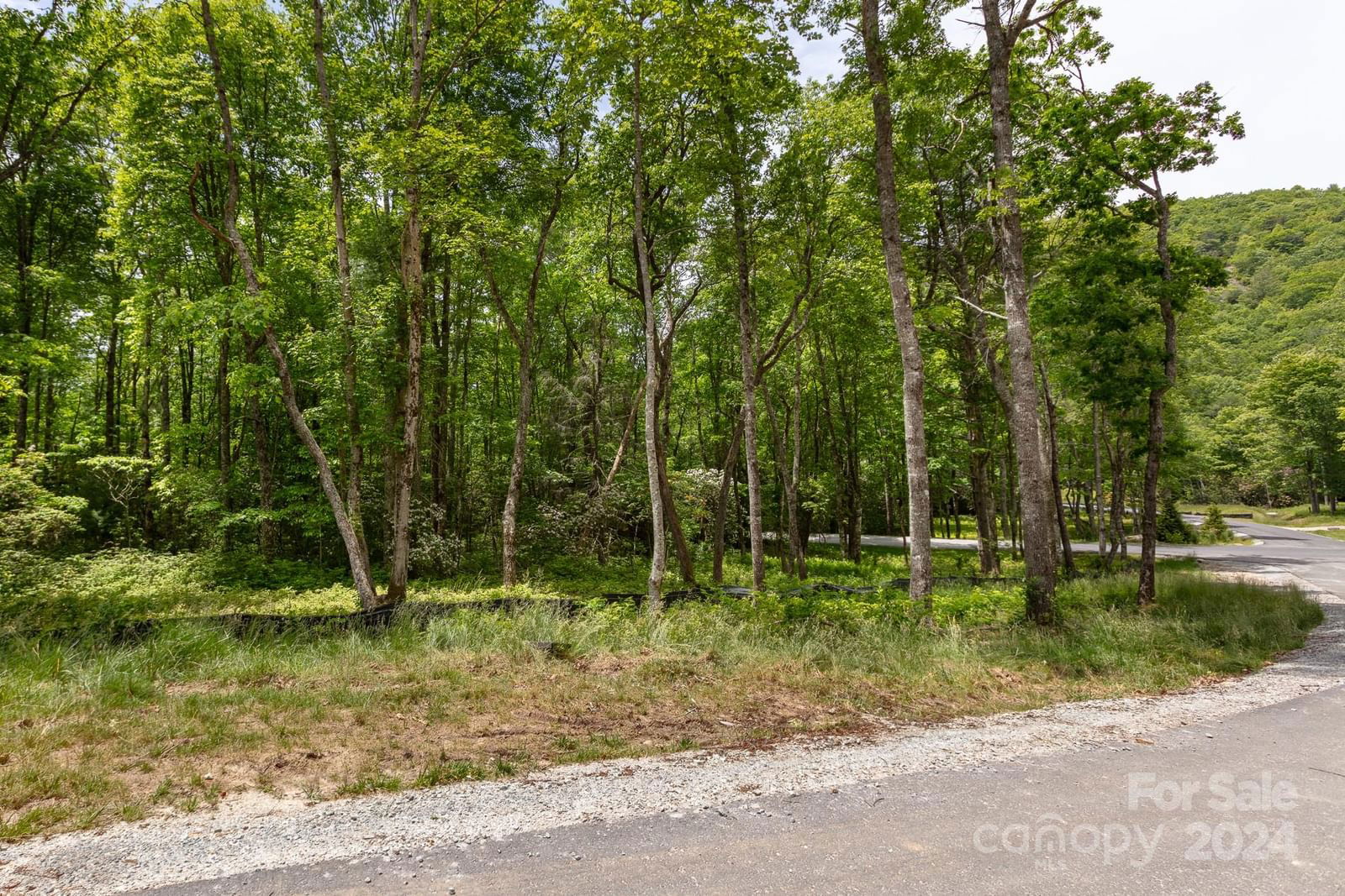 Lot W25 Tioga Trail image # 1