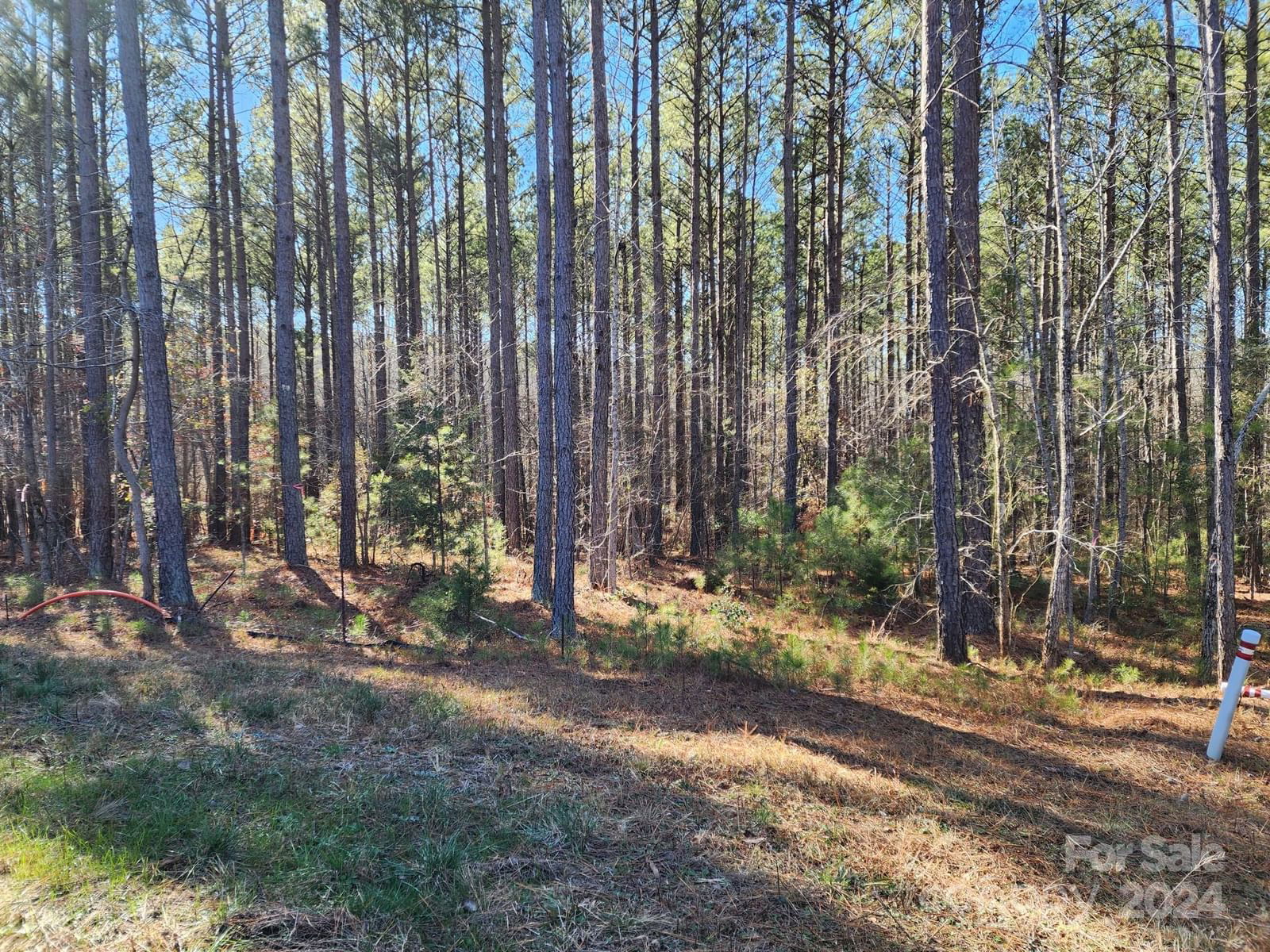3331 Sherman Drive image # 1