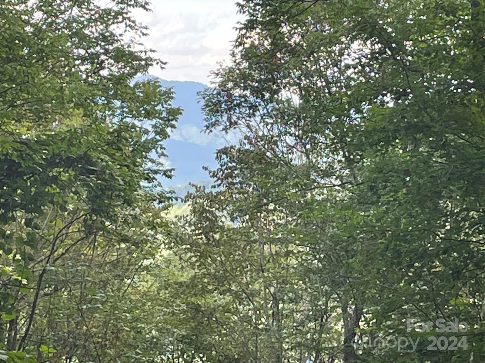 Lt 198 Corkscrew Way image # 1