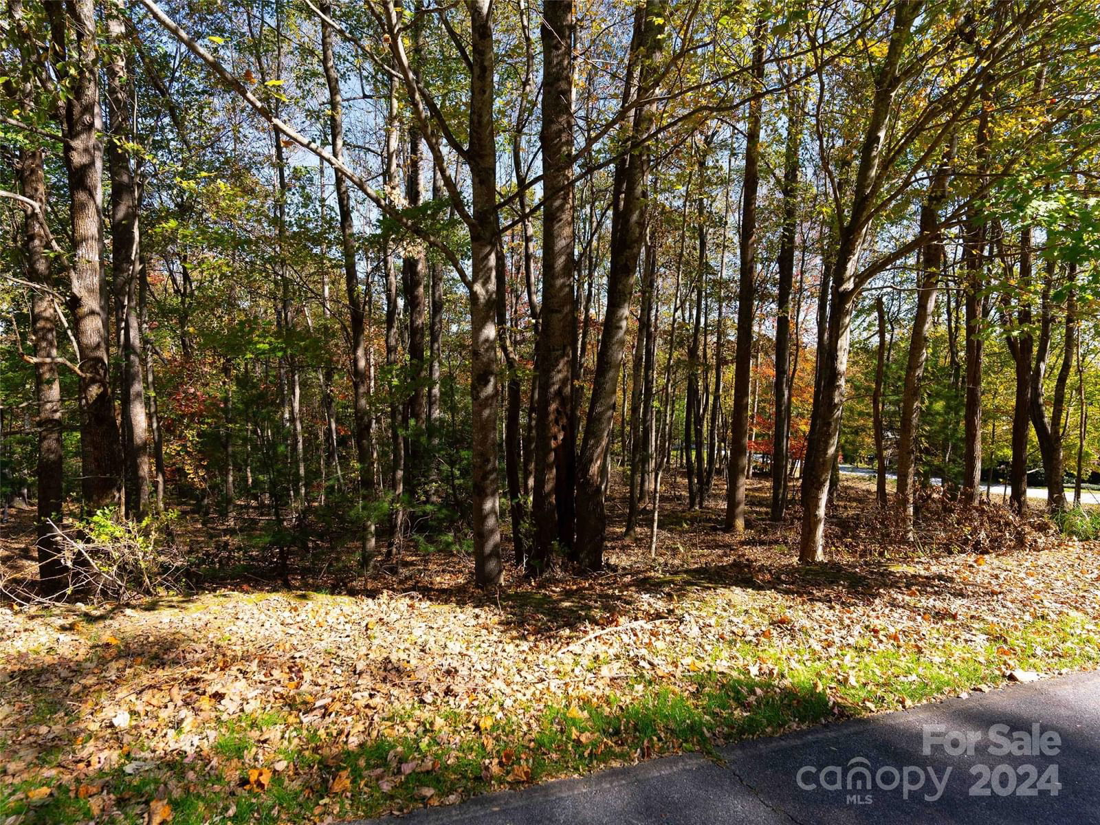 308 Piney Knoll Lane image # 1