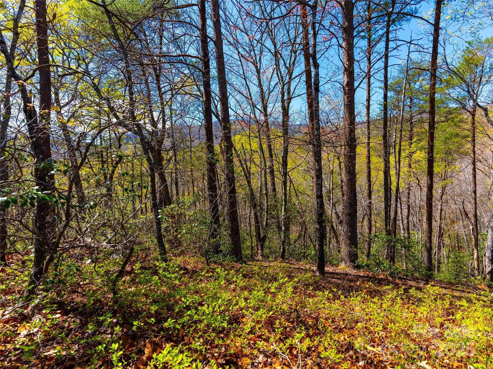 107 Deep Gap Road image # 1