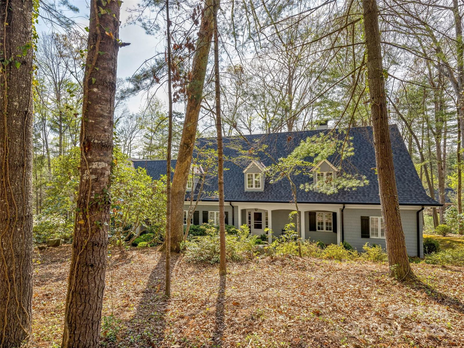 74 Forest Road image # 1