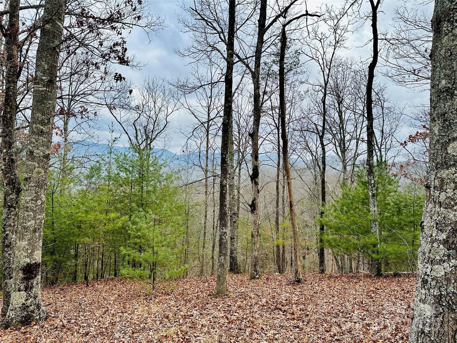 275 Raccoon Run image # 1