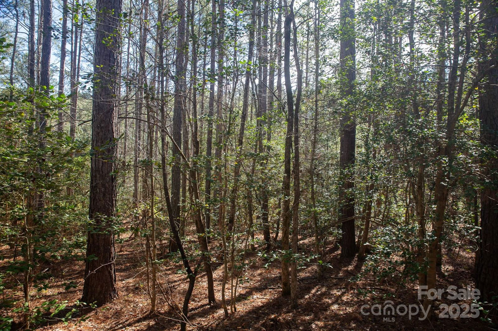 4155 Persimmon Road image # 1