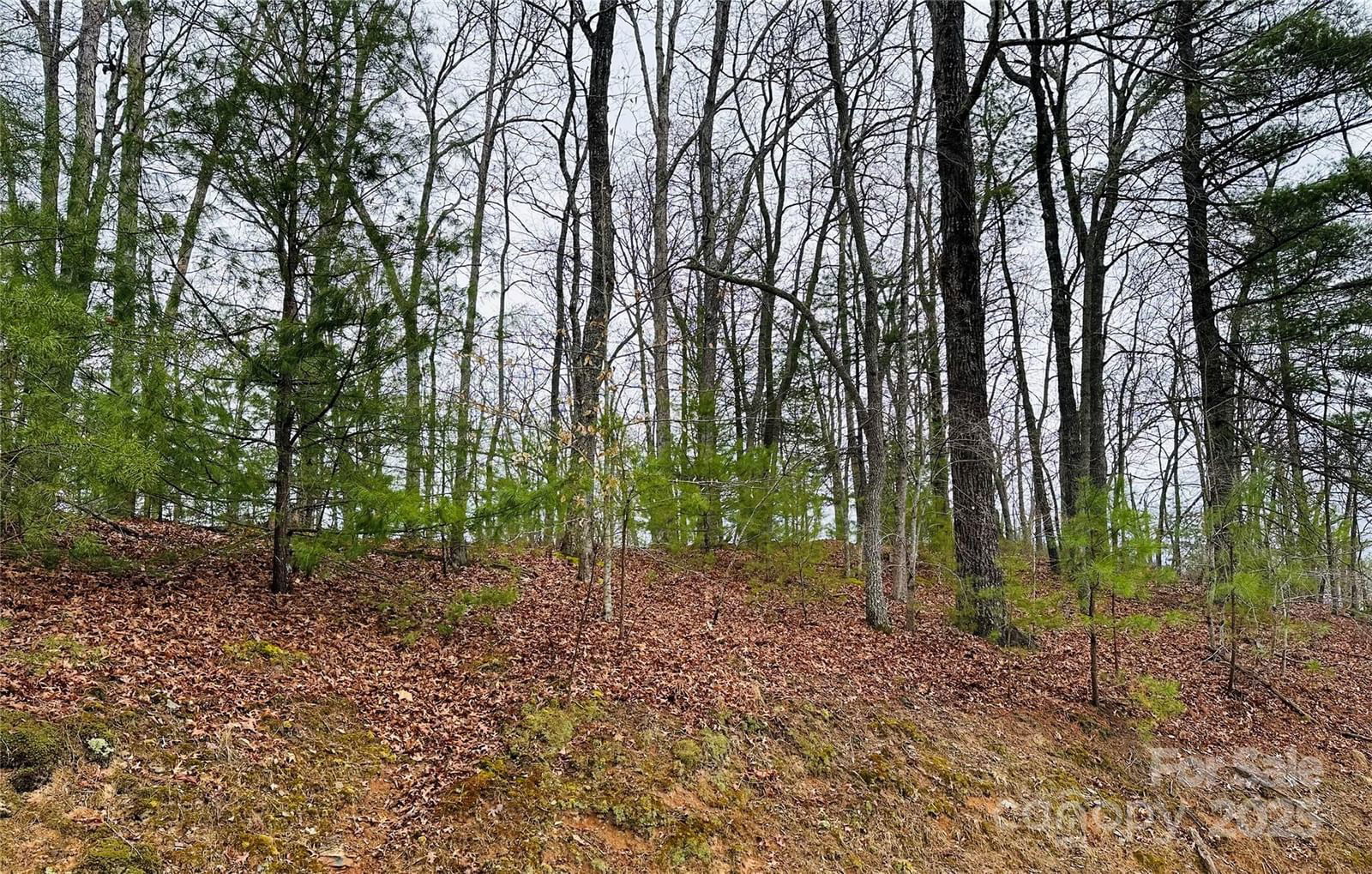 109 Longview Court image # 1
