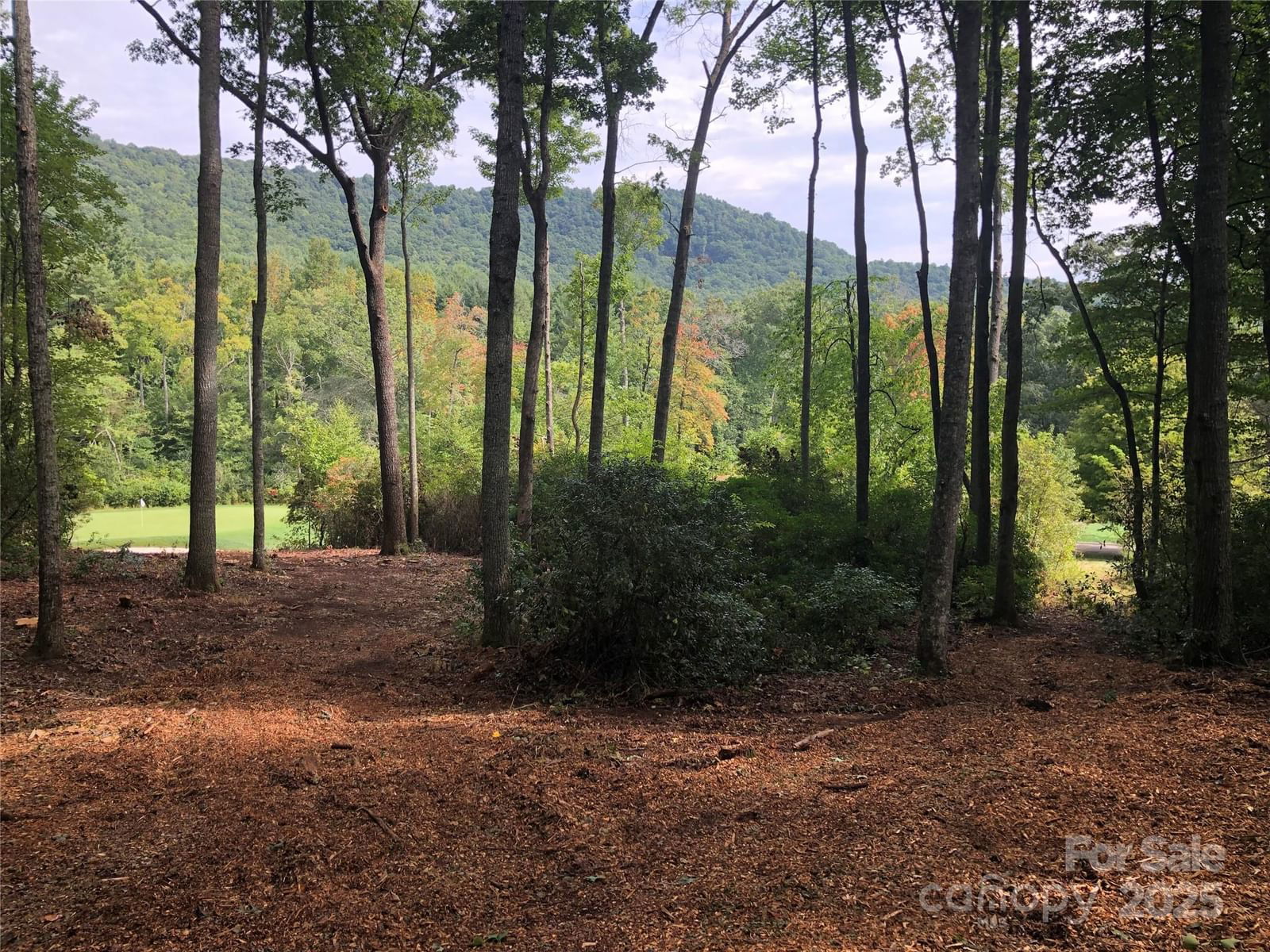 1304 Fawn Meadow Way image # 1