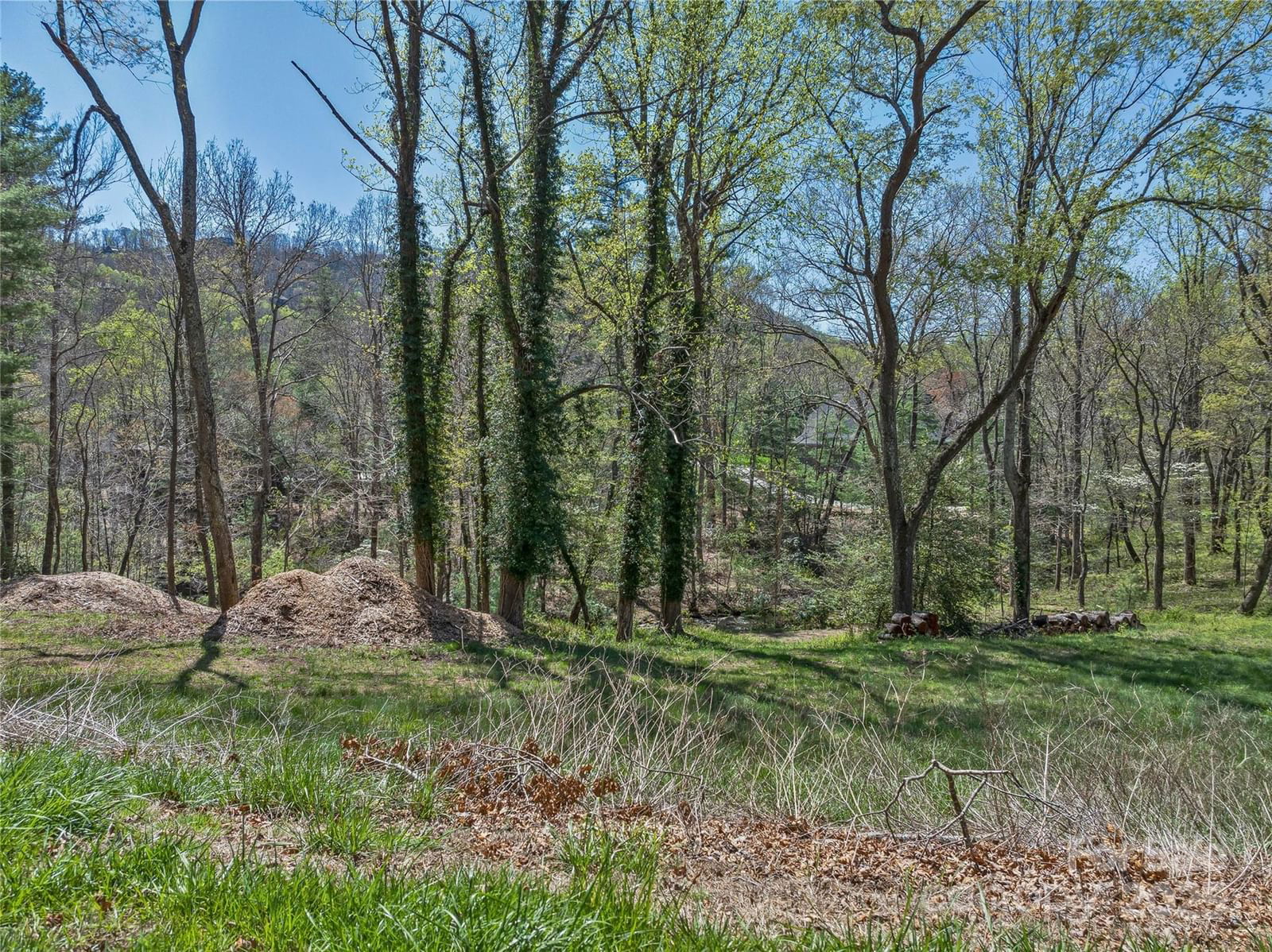 99999 Running Creek Trail image # 1
