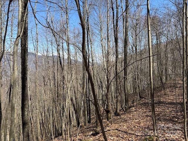 140 Boar Ridge Road image # 1