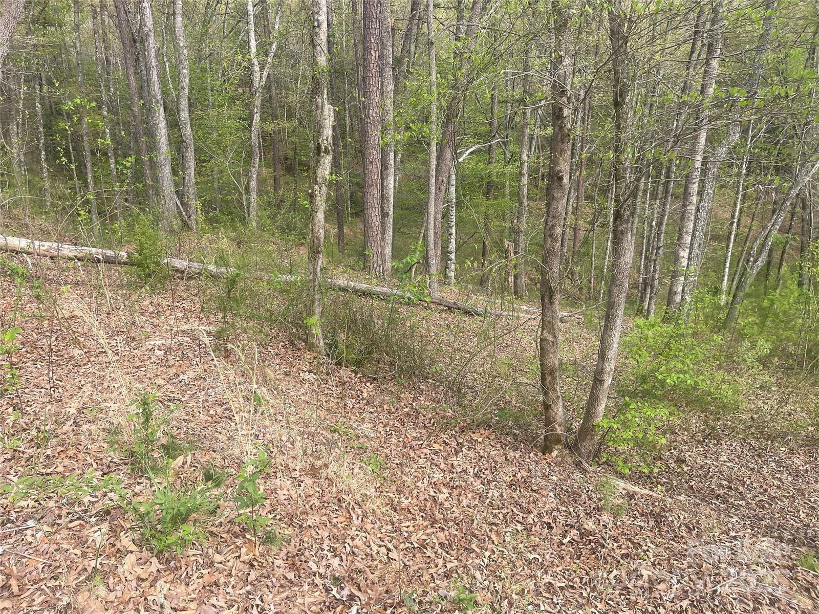 Lot 22 River Club Drive image # 1