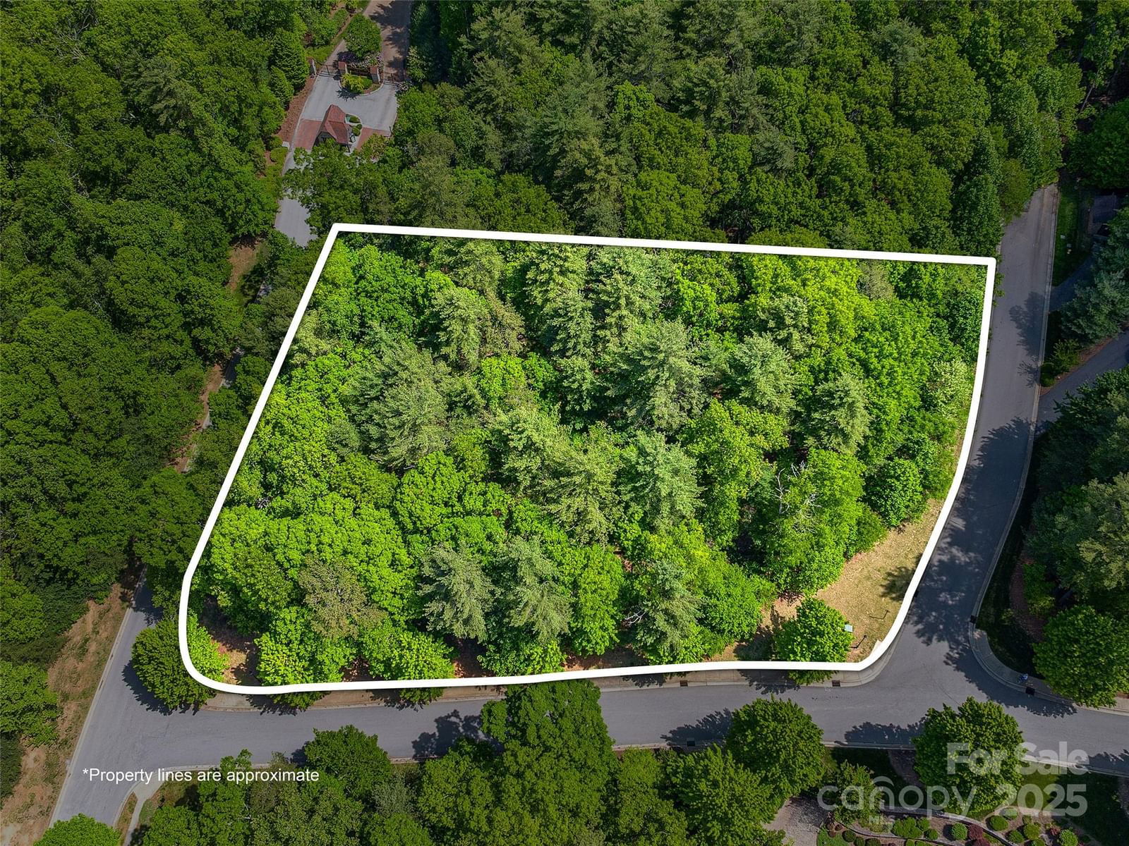 404 Coopers Hawk Drive image # 1