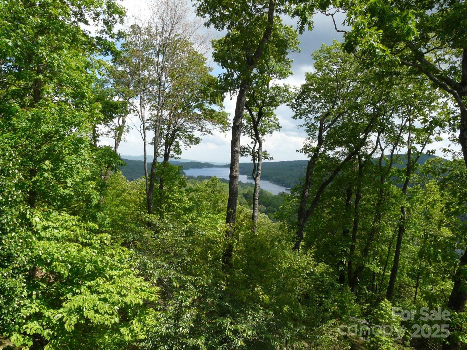 PR 22R Panther Ridge Road image # 1