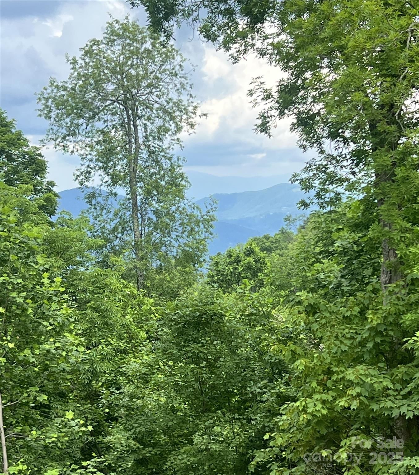Lot 53 Mountain Air Drive image # 1