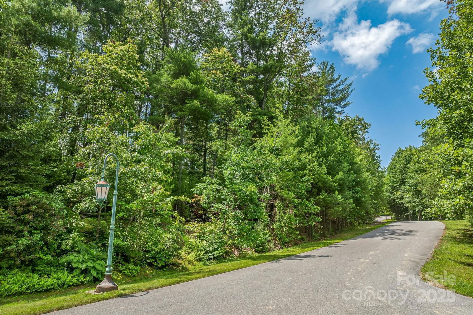 99999 Cedar Hill Drive image # 1