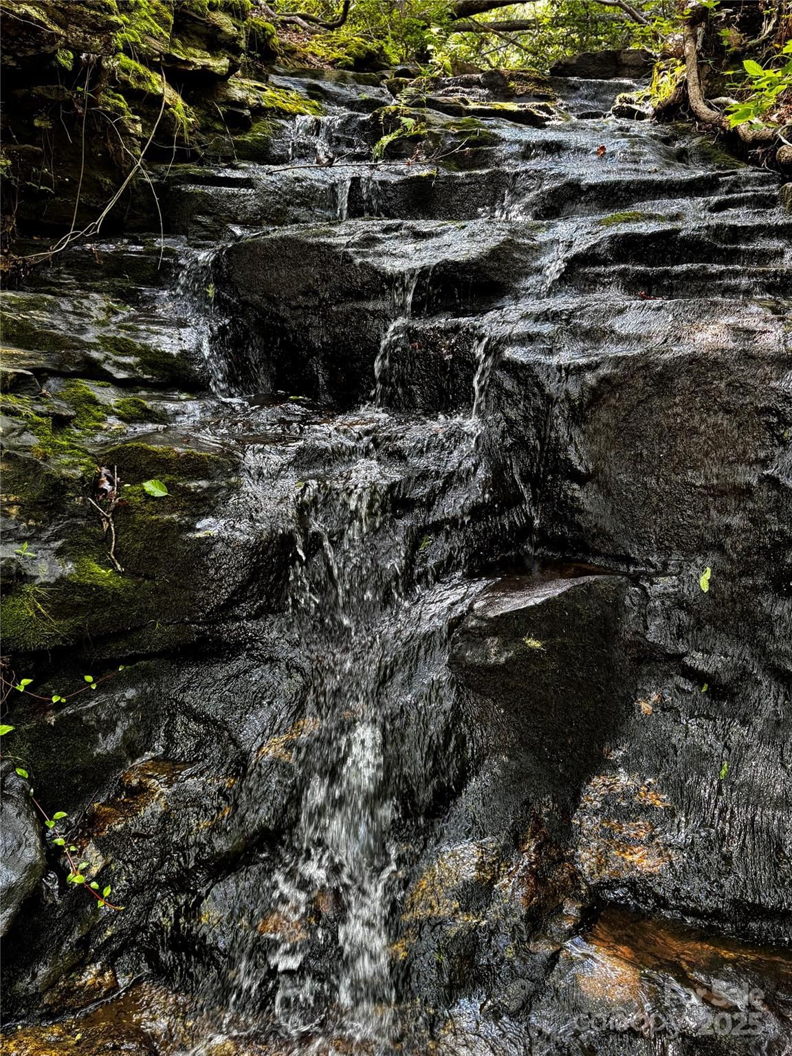 Listing image 48
